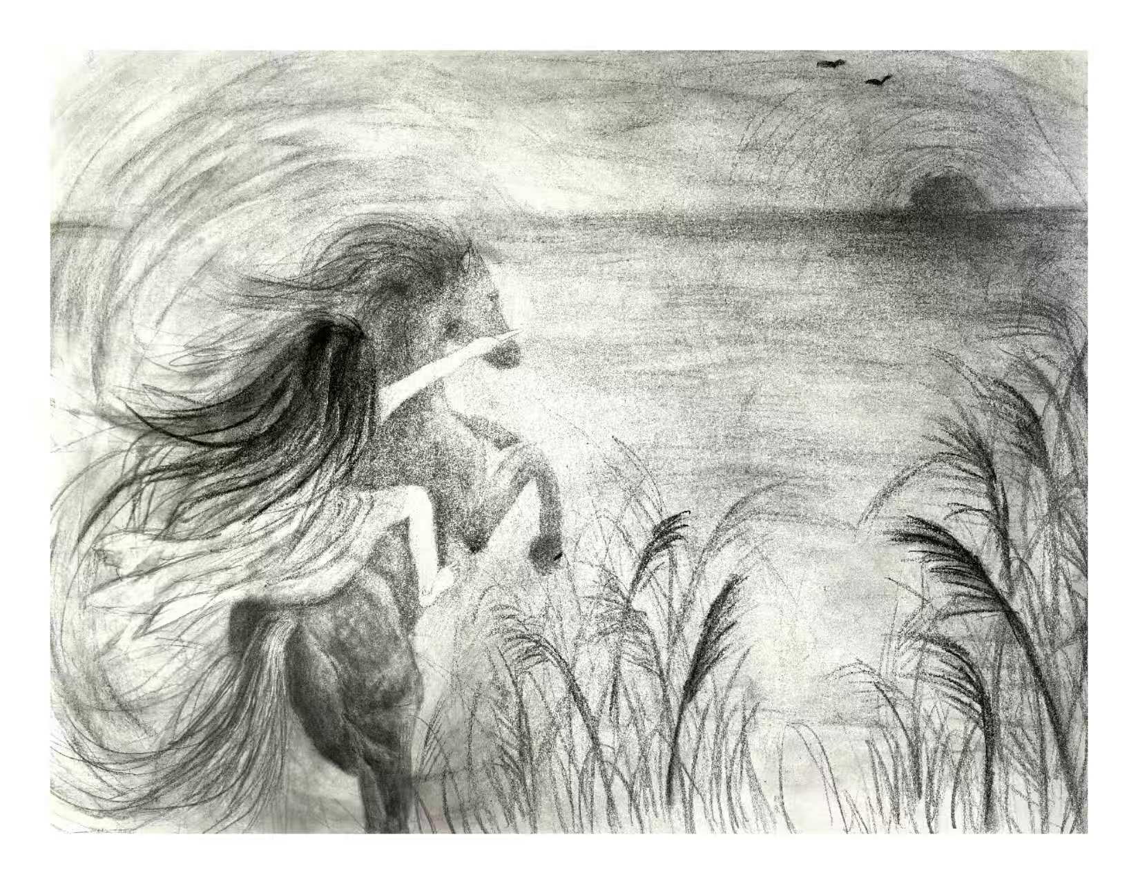 专业D组：16-18岁