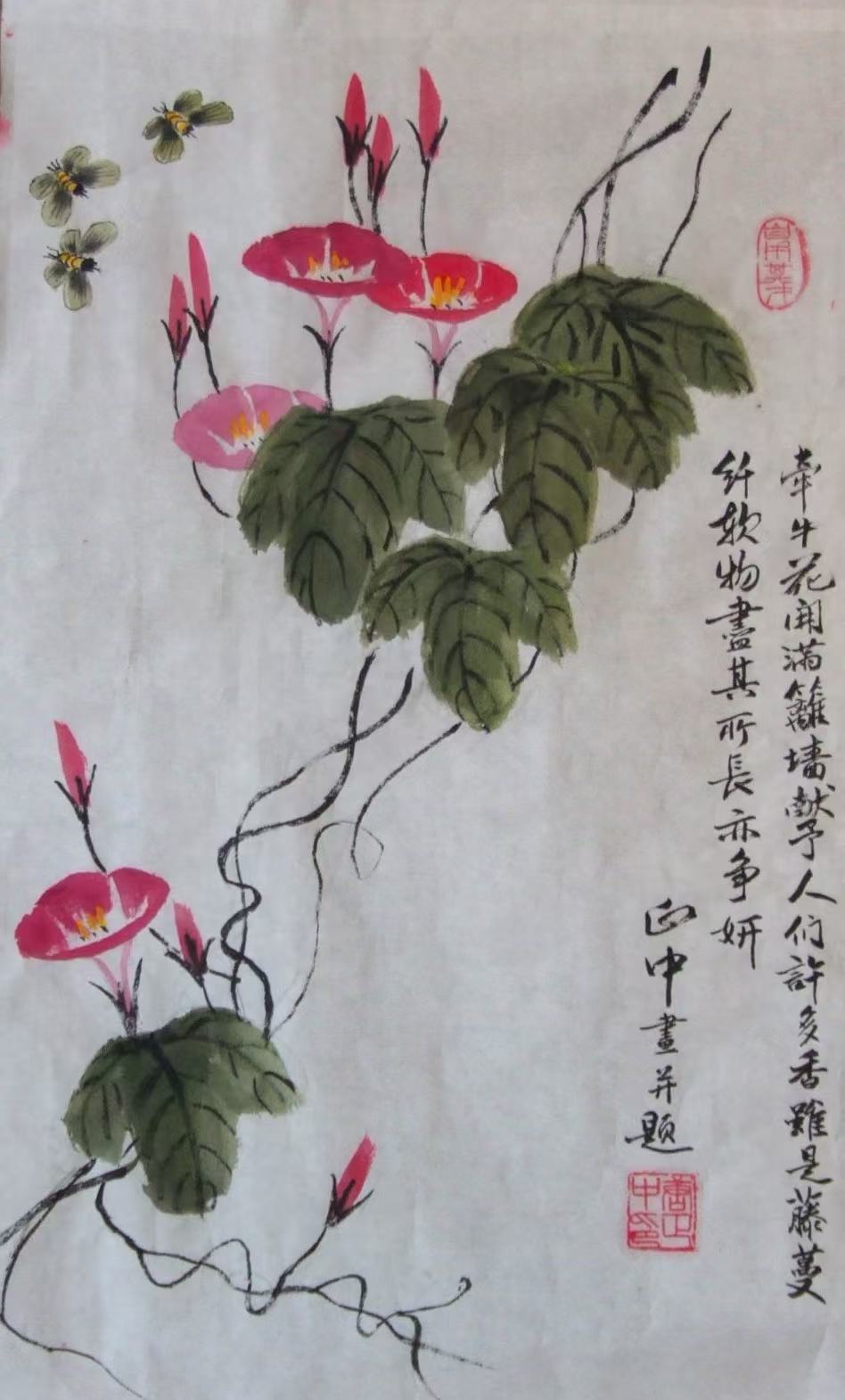唐教授画作：牵牛花